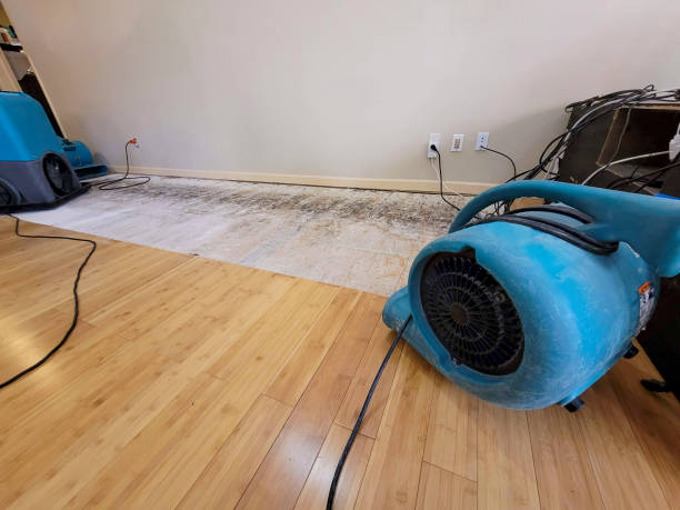 Reliable Storm Water Damage Restoration contractor in Evansville, WI by Hirex Water Damage
