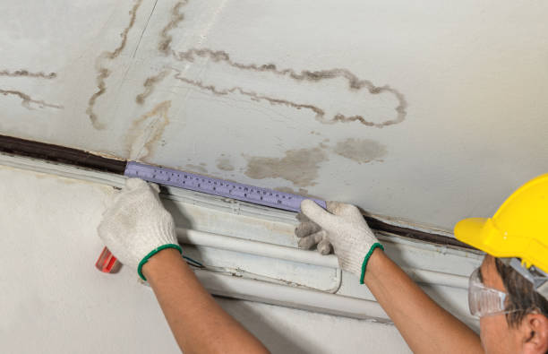 Affordable Water Damage Repair solutions in Evansville, WI